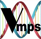 Sponsor VMPS