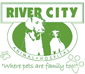 Sponsor River City Animal Hospital
