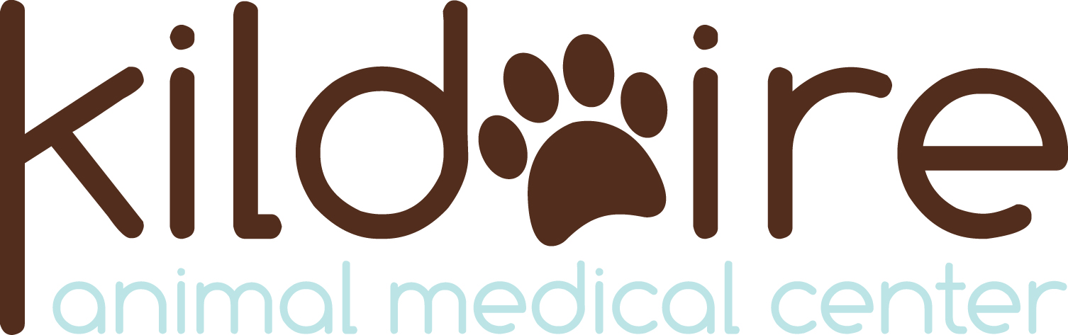 Sponsor Kildaire Animal Medical Center