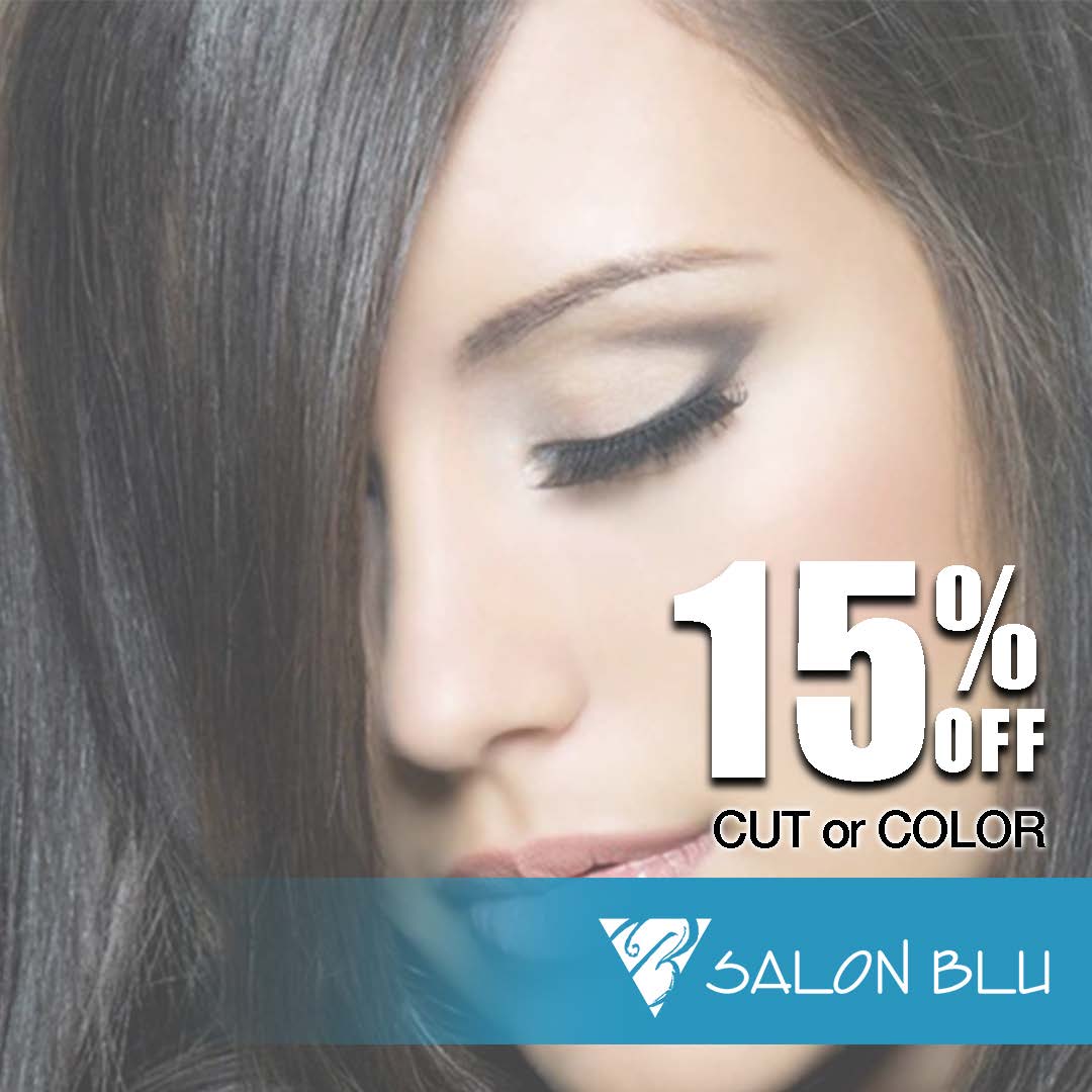 Sponsor Salon Blu