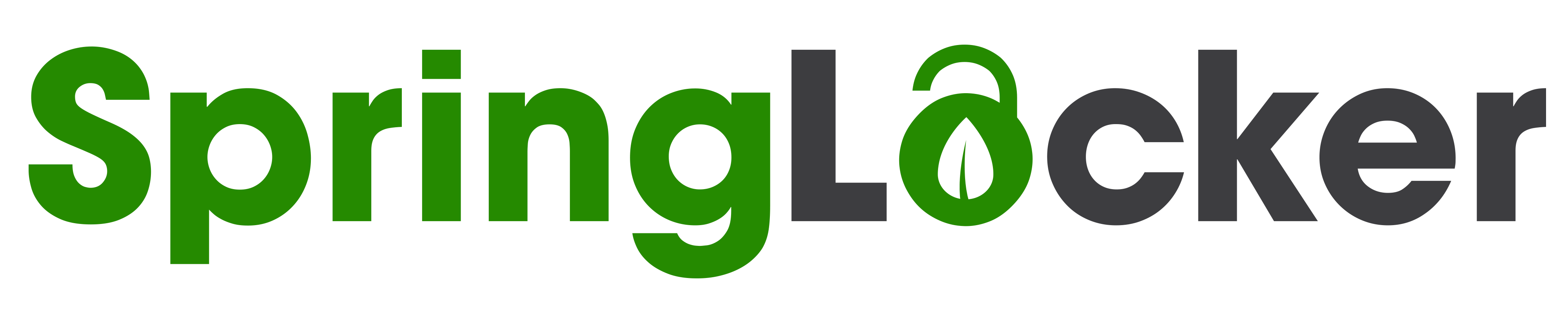 Sponsor SpringLocker