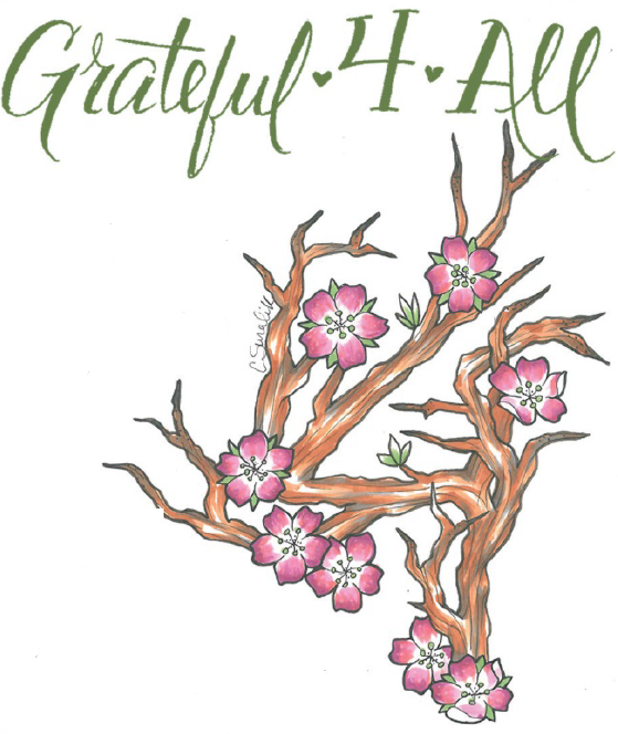 Sponsor Tom and Barb Backman