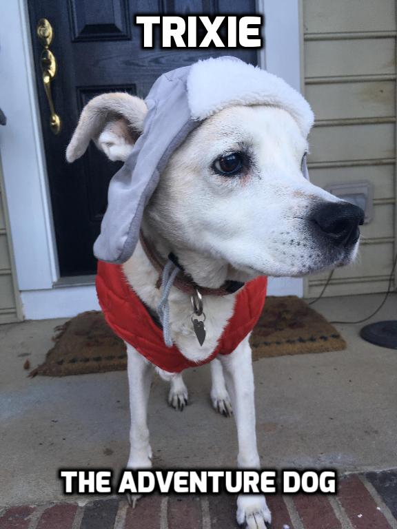 Sponsor Mimi Suddath