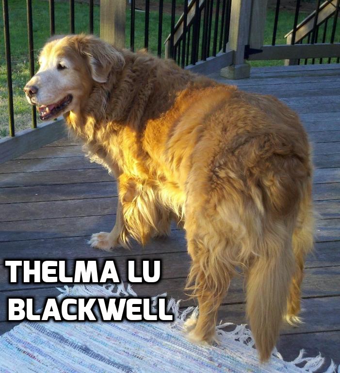 Sponsor Donna Blackwell