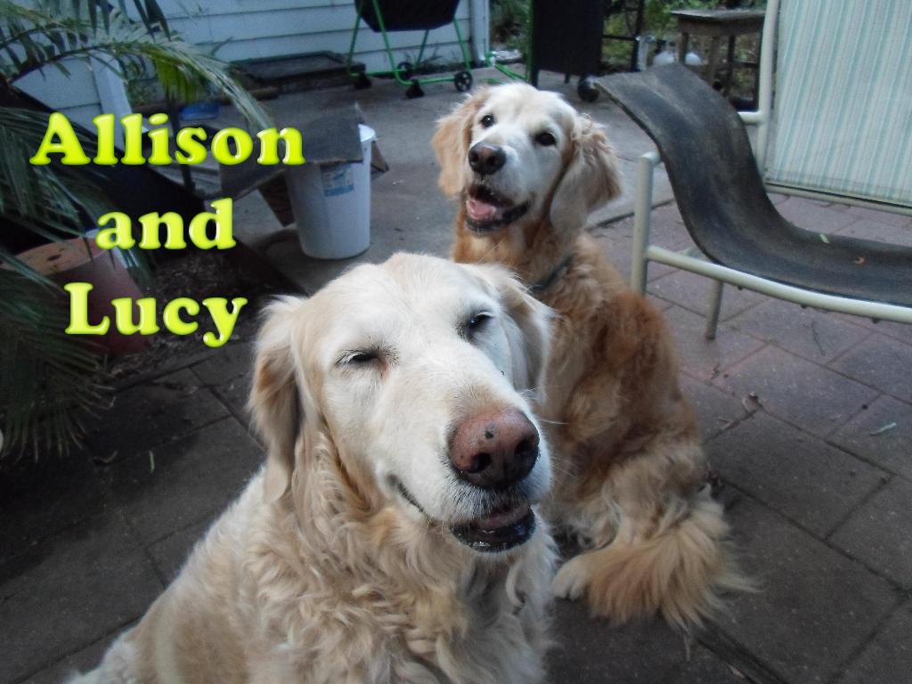 Sponsor Lucy and Allison Anderson