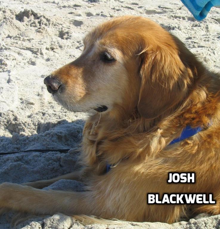 Sponsor Donna Blackwell