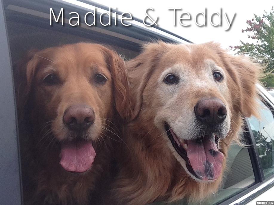 Sponsor Randy Harris