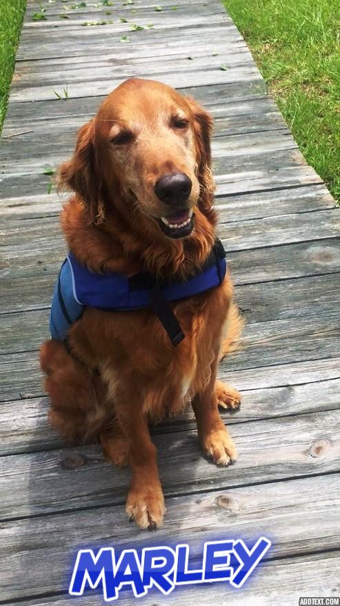 Sponsor Todd and Joanne Kroesen