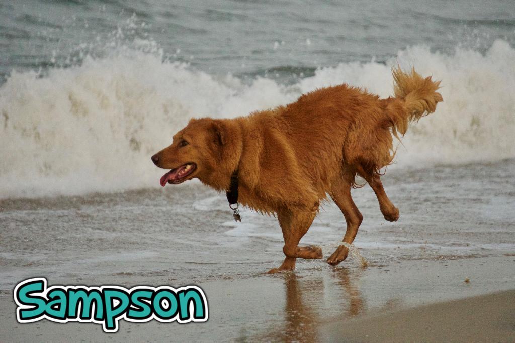 Sponsor Agnieszka & Marcin Banbula