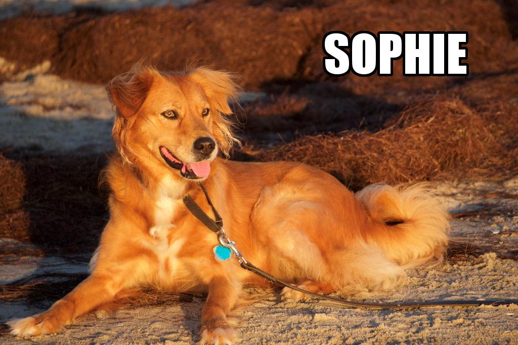 Sponsor Agnieszka & Marcin Banbula