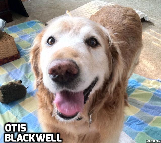 Sponsor Donna Blackwell