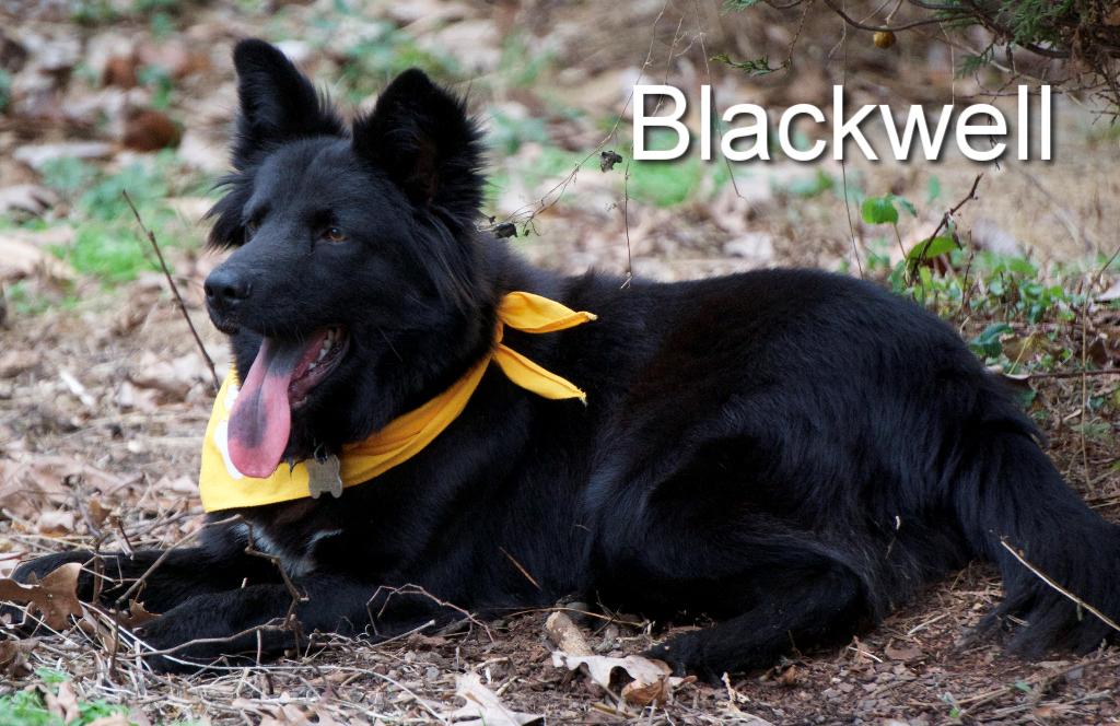 Sponsor Agnieszka & Marcin Banbula