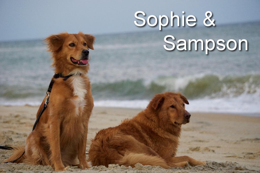 Sponsor Agnieszka & Marcin Banbula