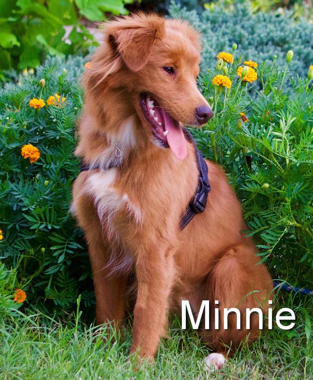 Sponsor Agnieszka & Marcin Banbula