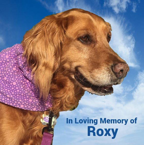 Sponsor In Loving Memory of Roxy