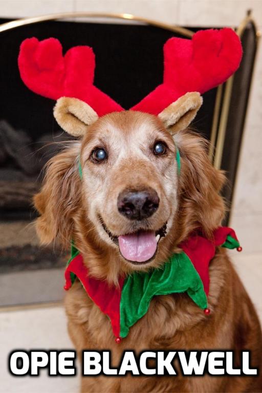 Sponsor Donna Blackwell