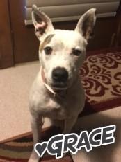 Sponsor The Kroupa Family