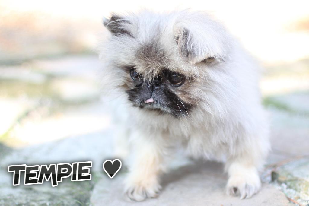 Sponsor Michelle Jenny