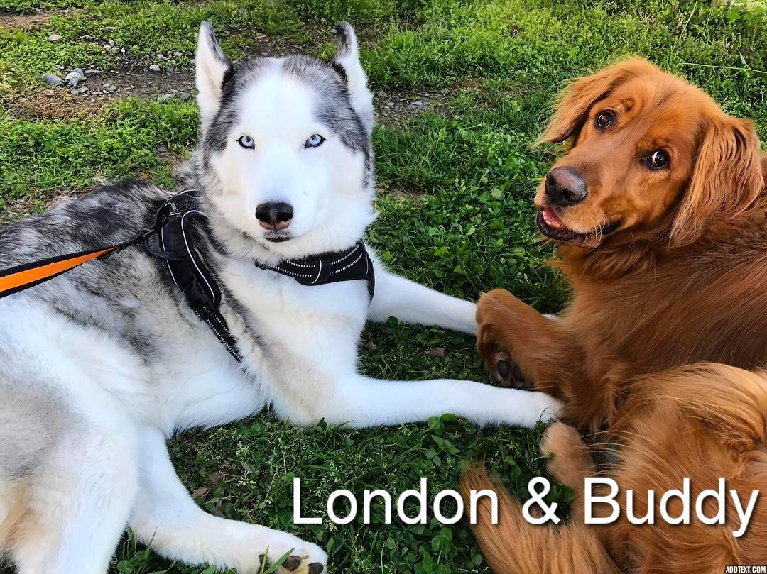 Sponsor Jaclyn Sumner