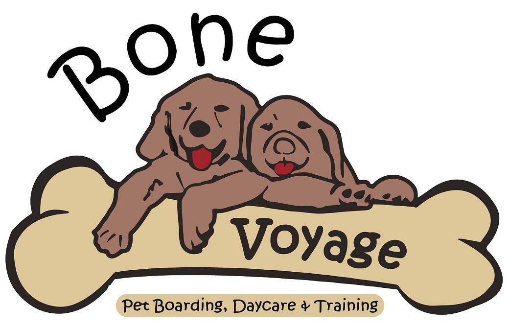 Sponsor Bone Voyage