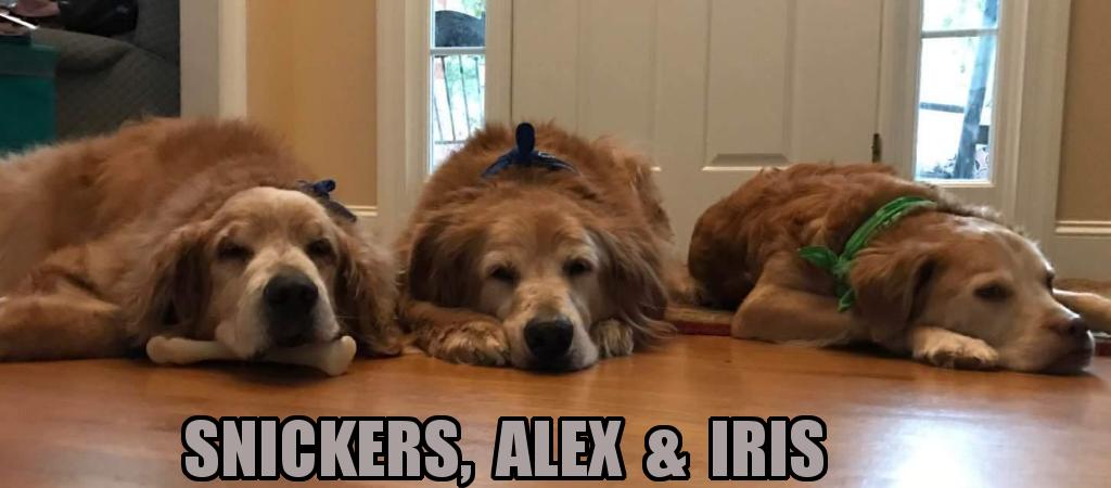 Sponsor The Tooley Family