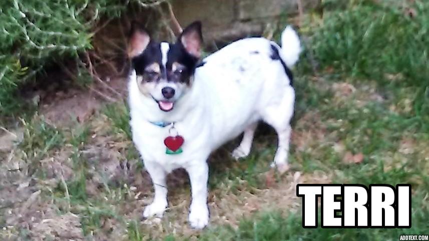 Sponsor Jessie & Rick Taliaferro