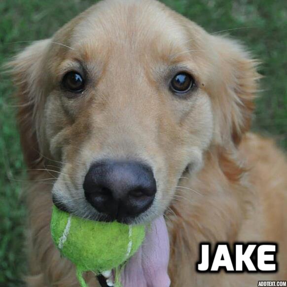 Sponsor Loretta Phillips