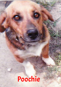 Sponsor Martha and Joe Ciechalski