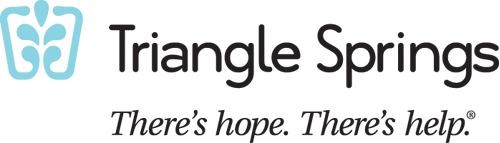 Sponsor Triangle Springs