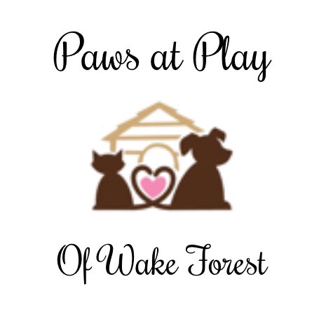 Sponsor Paws at Play