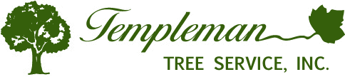Sponsor Templeman Tree Service, Inc.