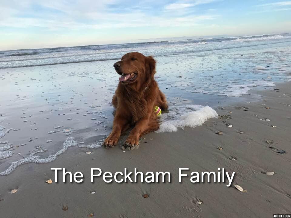 Sponsor Silver Sponsor