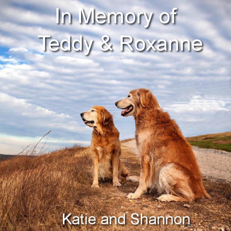 Sponsor Bronze Sponsor