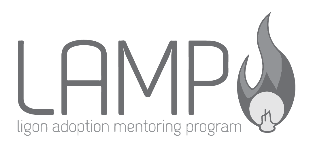 Sponsor LAMP Mentor Program