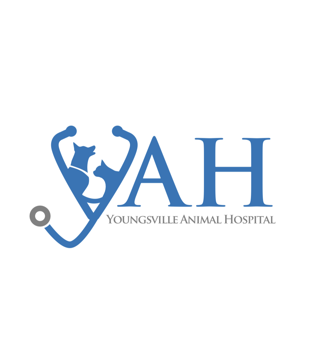 Sponsor Youngsville Animal Hospital
