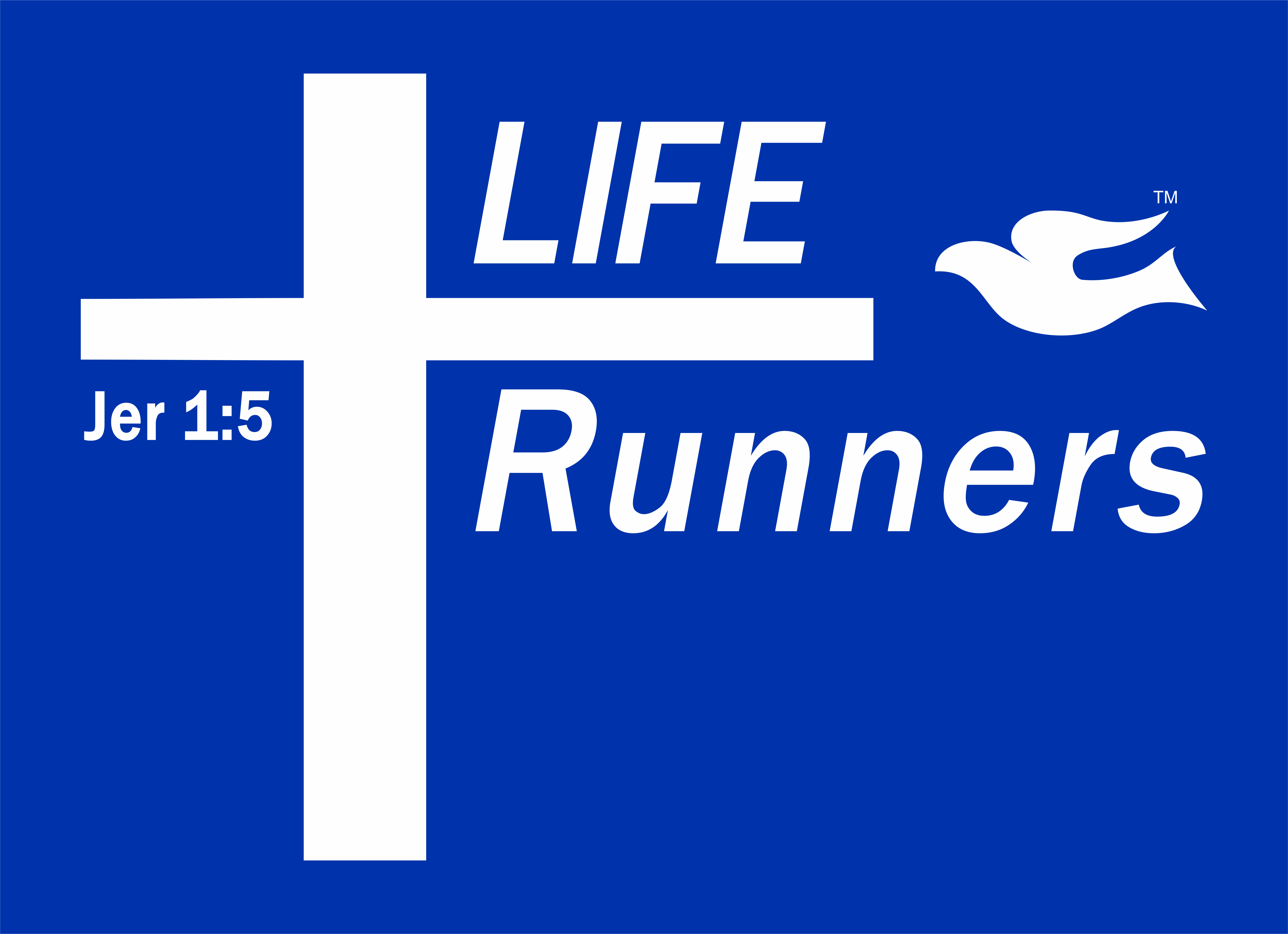 Sponsor Triangle Area Life Runners