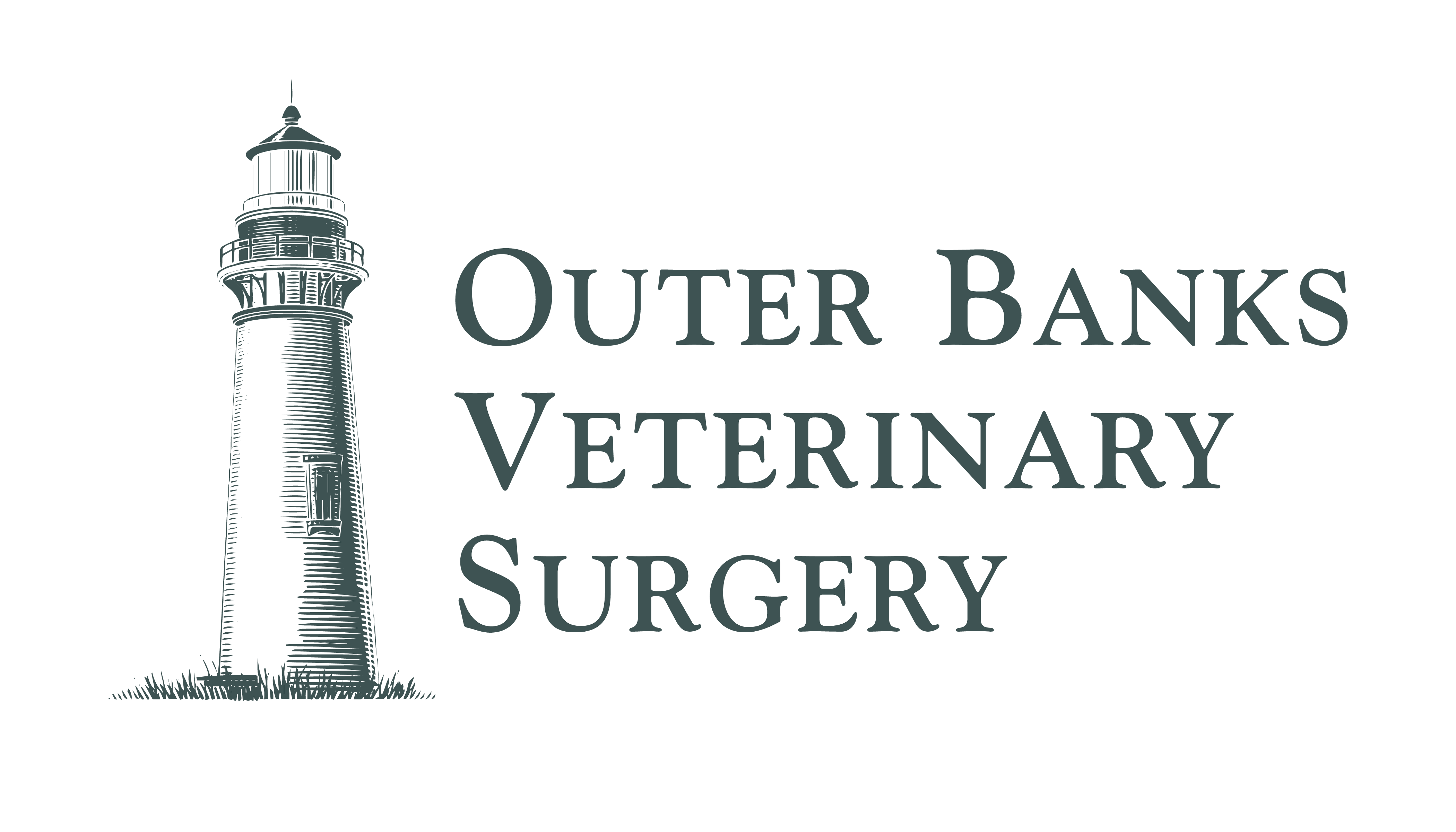 Sponsor Outer Banks Veterinary Surgery