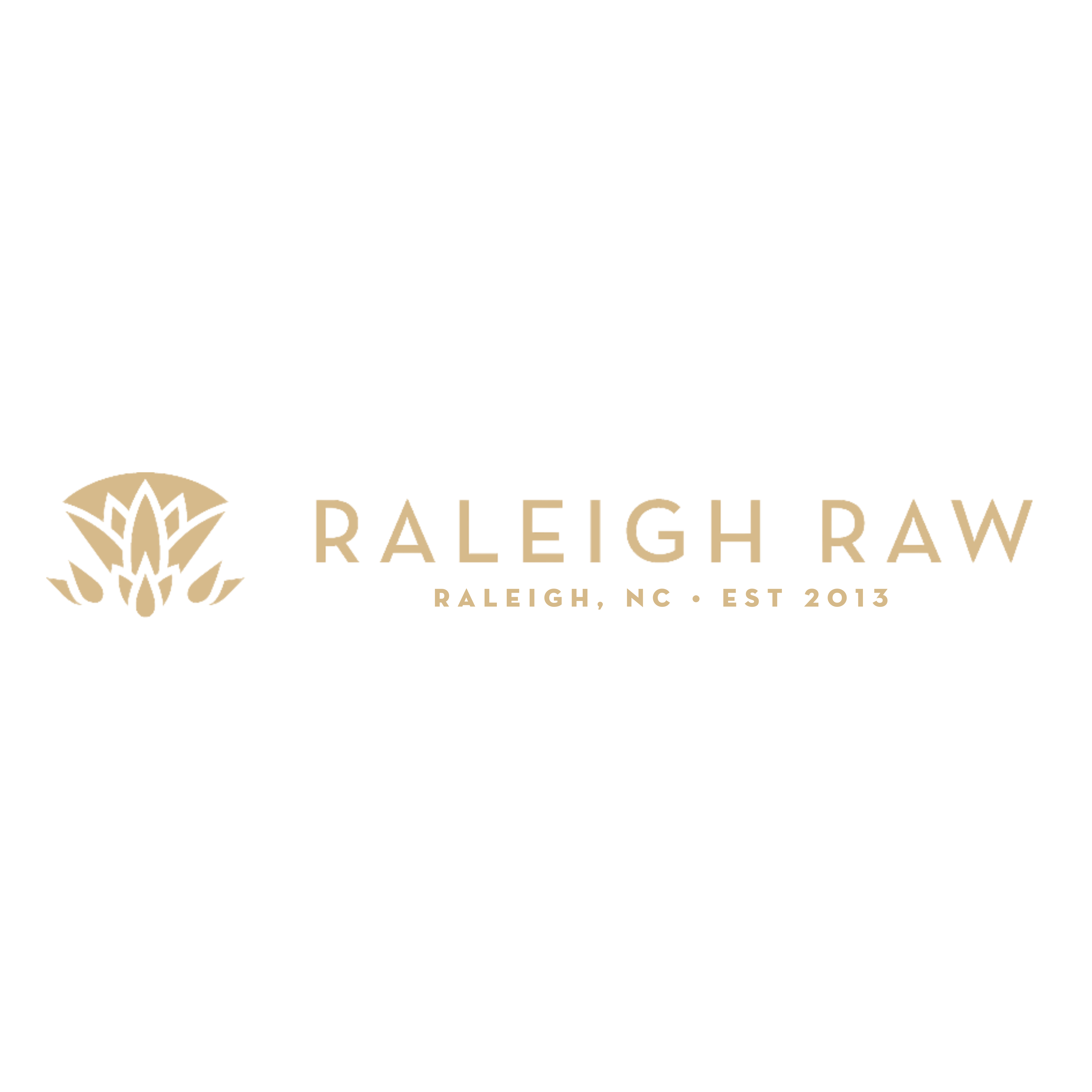 Sponsor Raleigh Raw