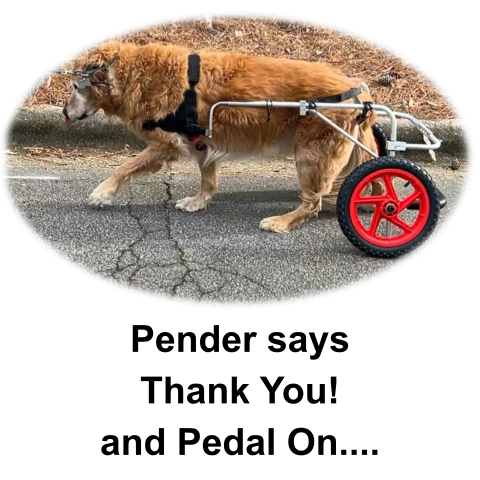 Sponsor Pender