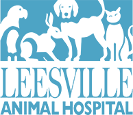 Sponsor Leesville Animal Hospital