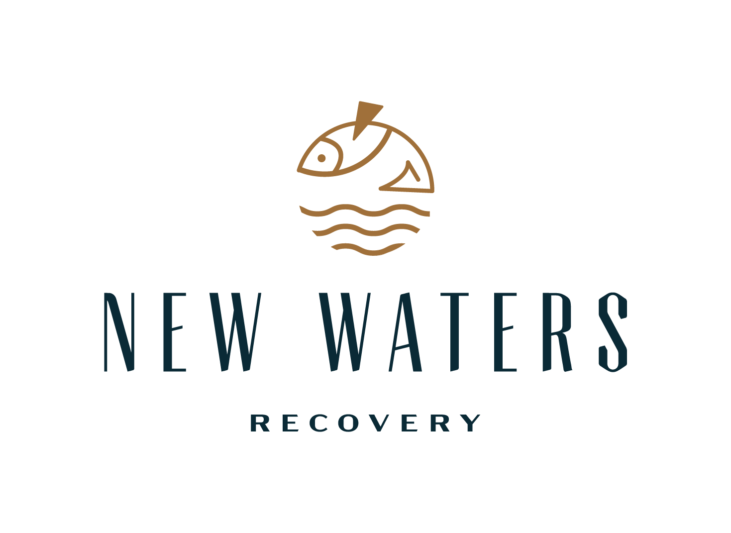 Sponsor New Waters Recovery