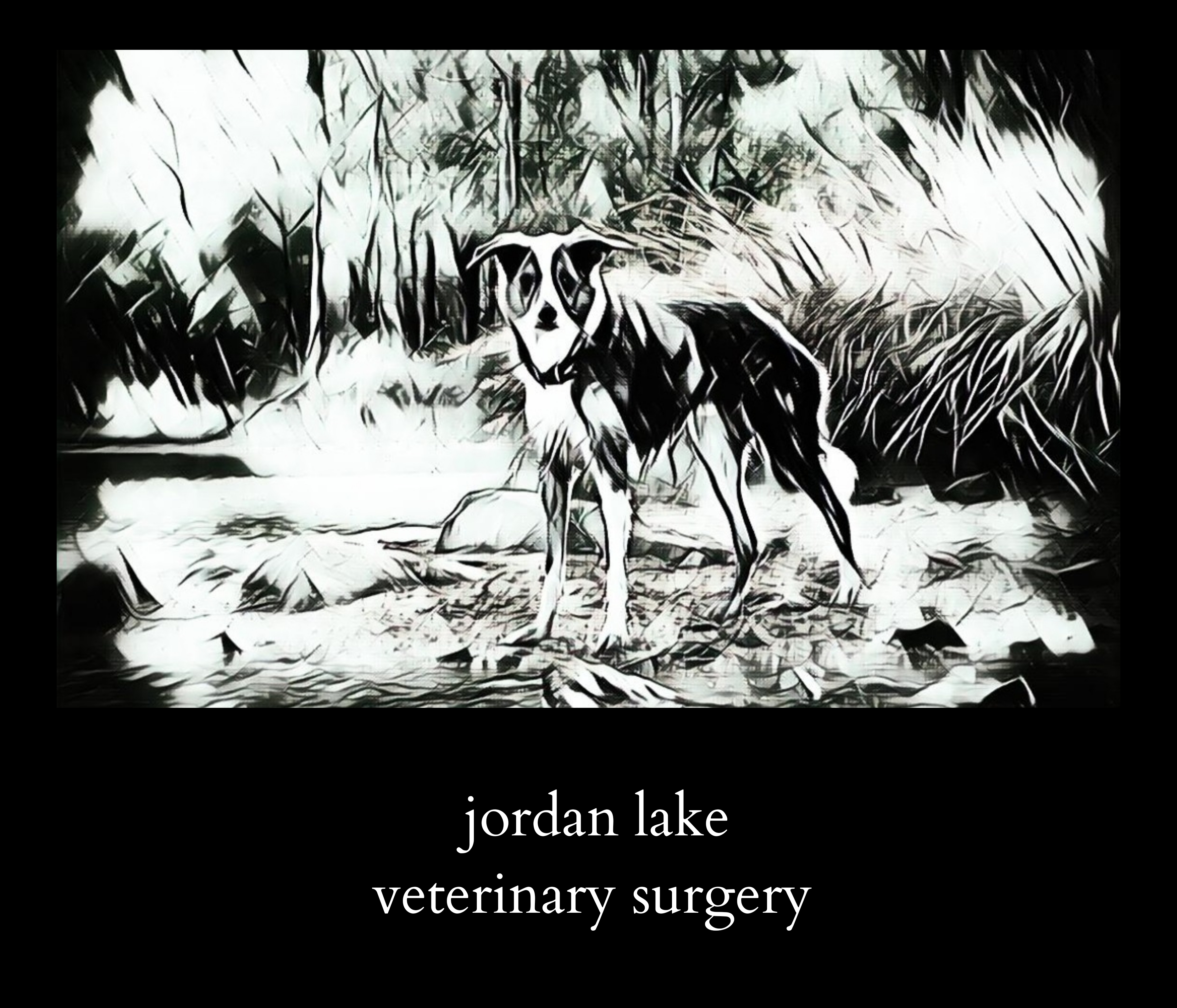 Sponsor Jordan Lake Veterinary Surgery