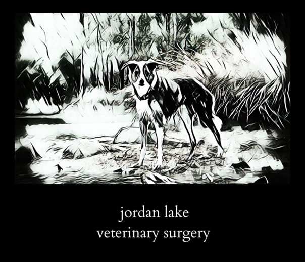 Sponsor Jordan Lake Veterinary Surgery