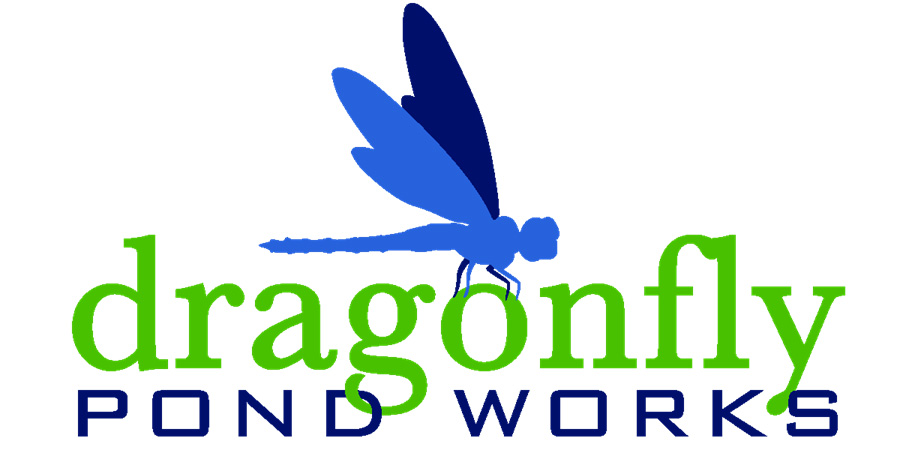 Sponsor Dragonfly Pond Works