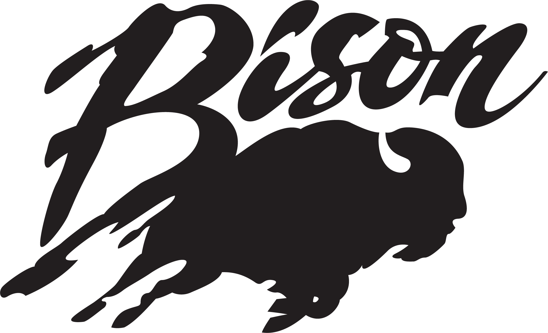 Sponsor Bison