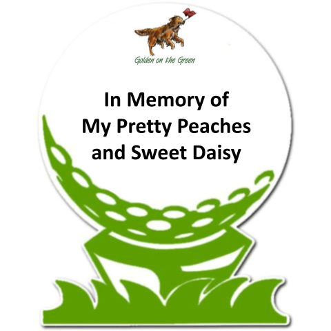 Sponsor In Memory of My Pretty Peaches and Sweet Daisy