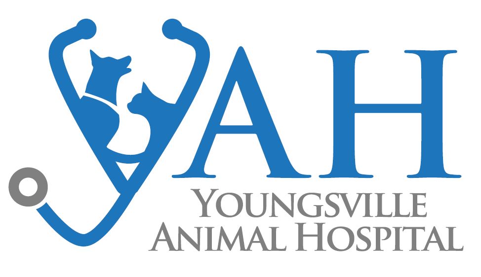 Sponsor Youngsville Animal Hospital
