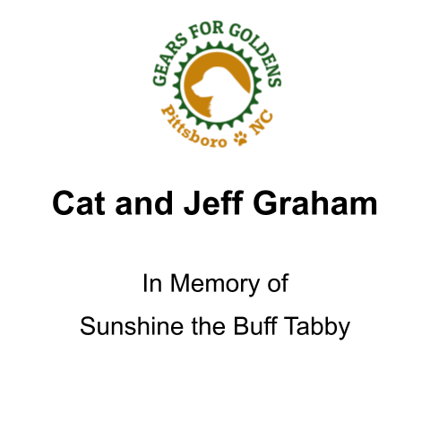 Sponsor In Memory of Sunshine the Buff Tabby
