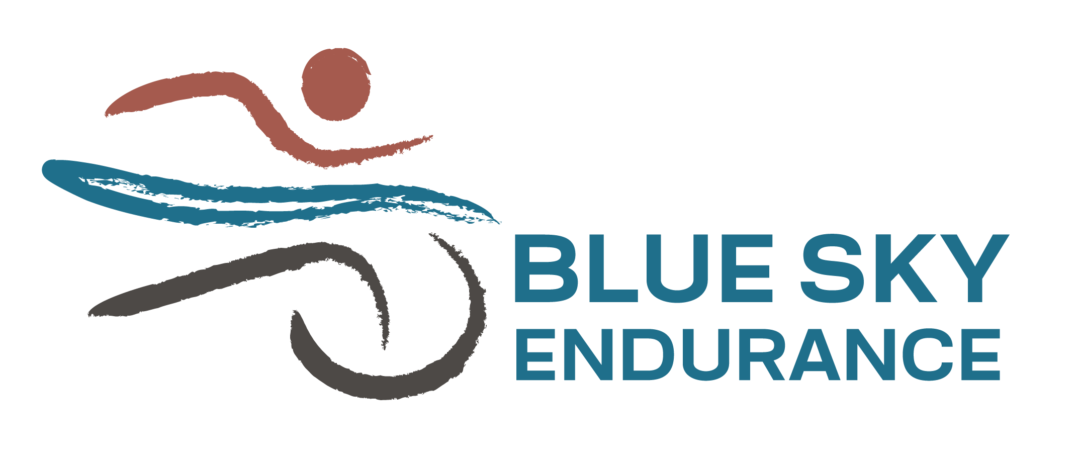 Sponsor Blue Sky Endurance