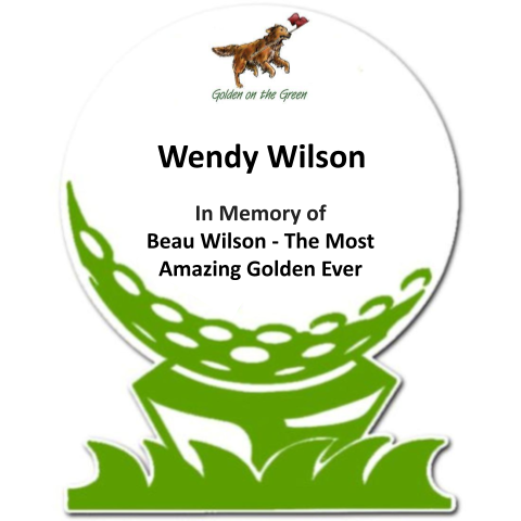 Sponsor In Memory of  Beau Wilson - The Most Amazing Golden Ever